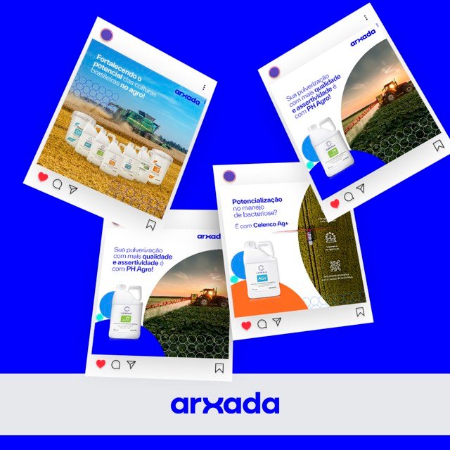 Posts de Instagram da Arxada